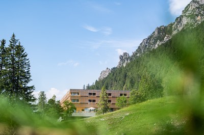 DANUSER-190703144714.jpg