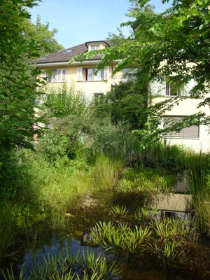 Foto Teich.JPG