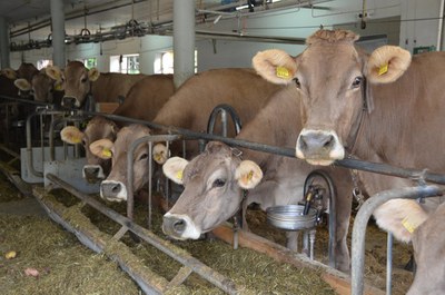 csm_Landwirtschaft2_e28f424d9a.jpg