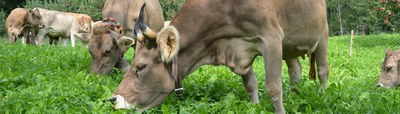 Header-Landwirtsch_1900x545.jpg